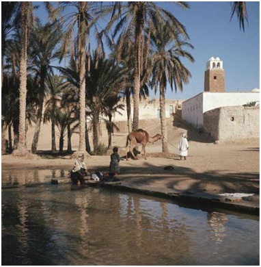 ولاية قفصة